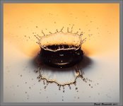 liquids macro